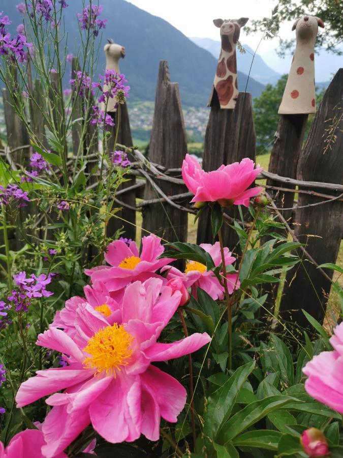 Wieserhof Tirol เอิทซ์ ภายนอก รูปภาพ